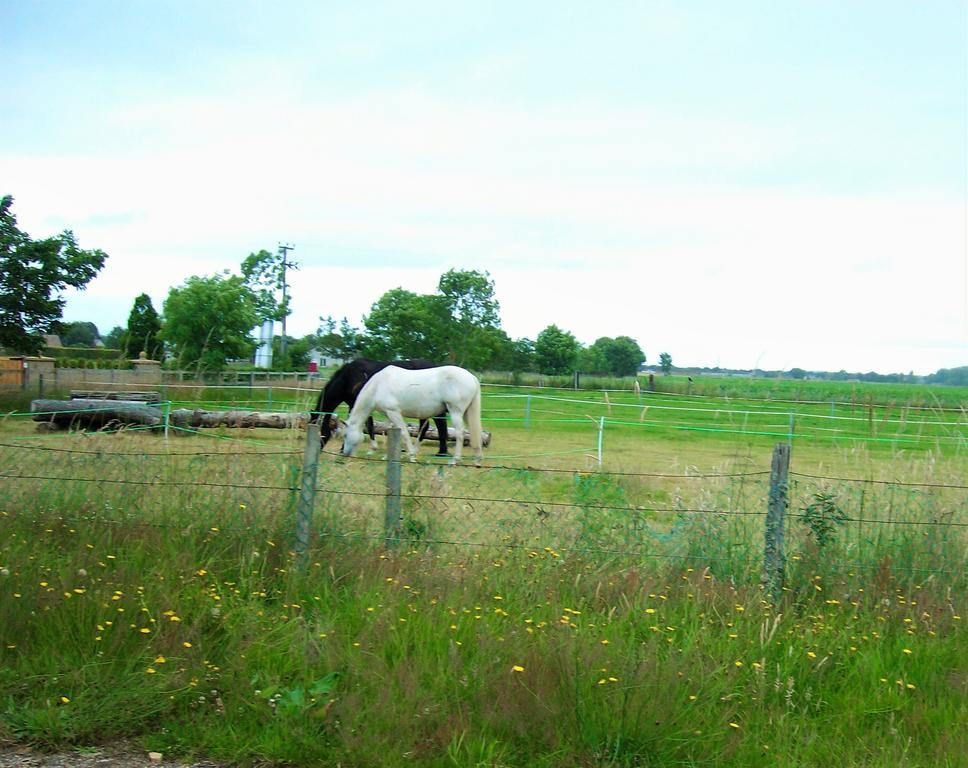 Riverview Country Park Hotel Forres Buitenkant foto